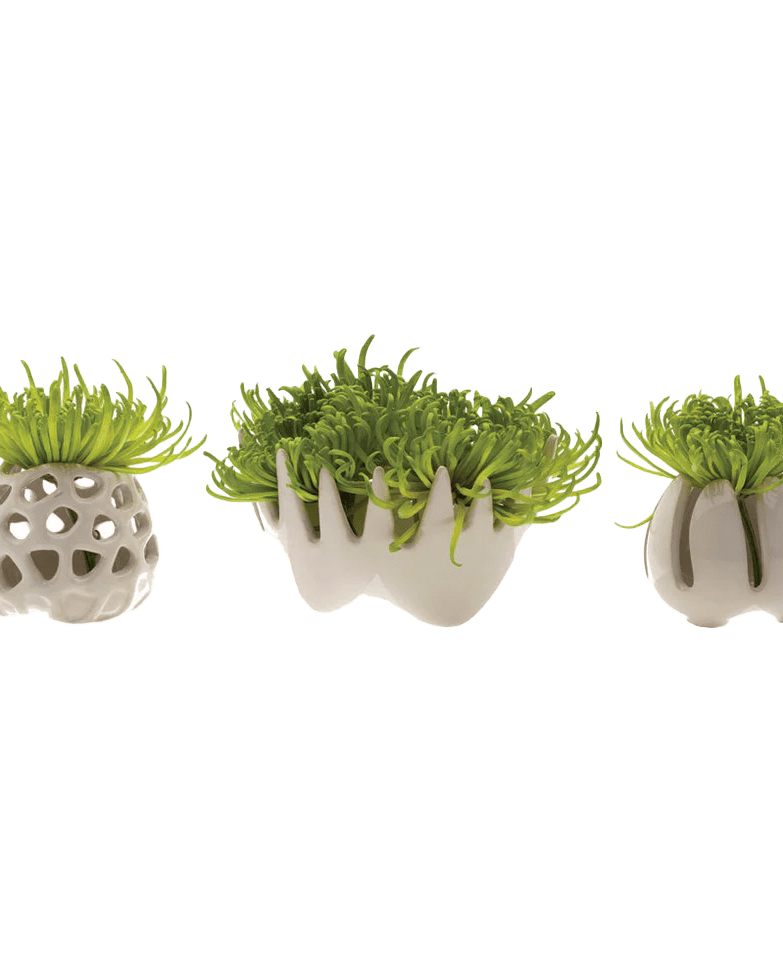 Gideon Ceramic Air Plant Container - Chive US Wholesale