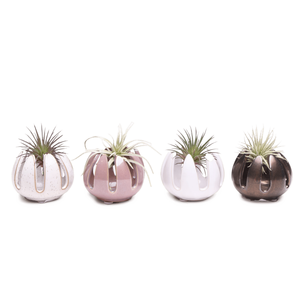 Gideon Ceramic Air Plant Container - Chive US Wholesale