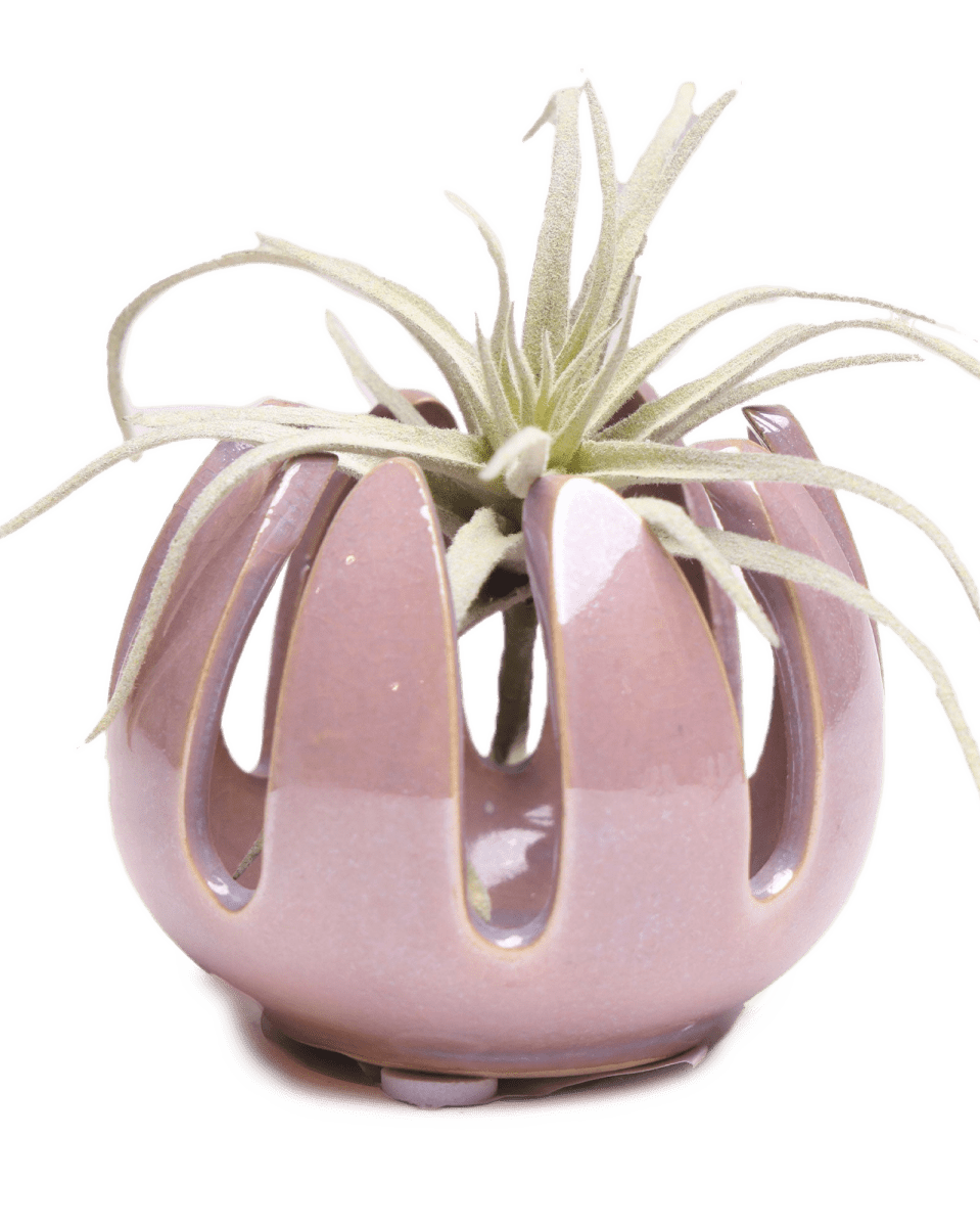 Gideon Ceramic Air Plant Container - Chive US Wholesale