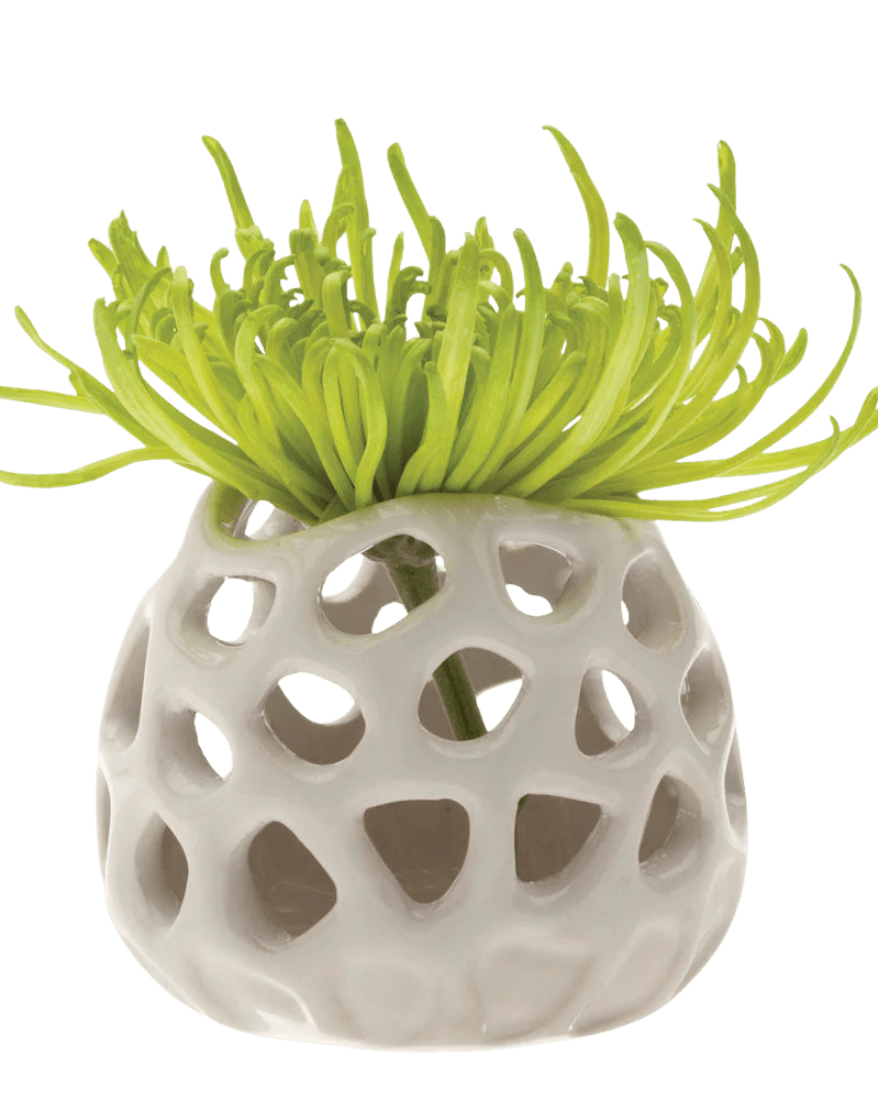 Gideon Ceramic Air Plant Container - Chive US Wholesale