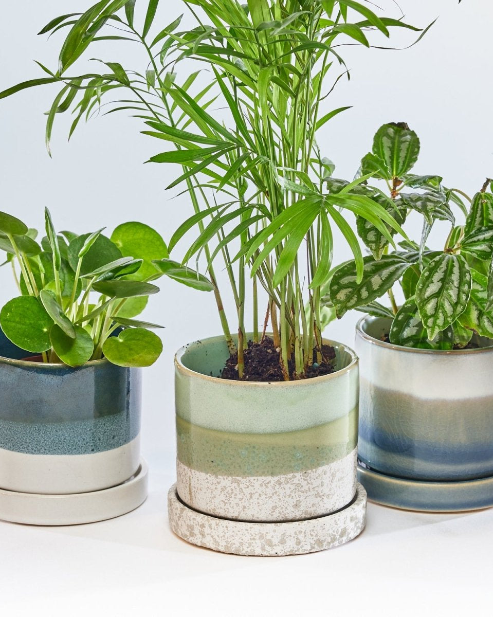 Minute Ceramic Pot And Saucer With Drainage Sets - Chive US Wholesale