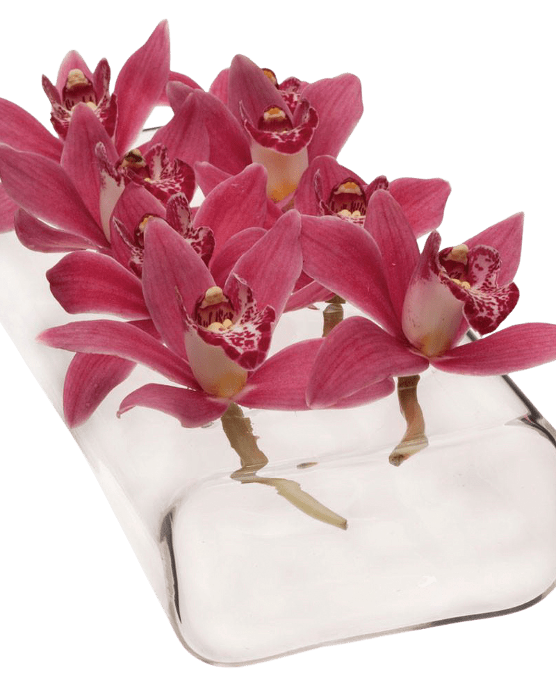 Rectangle Flute Glass Modern Clear Flower Vase - Chive US Wholesale