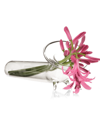 Test Tube Glass Modern Clear Flower Vase - Chive US Wholesale
