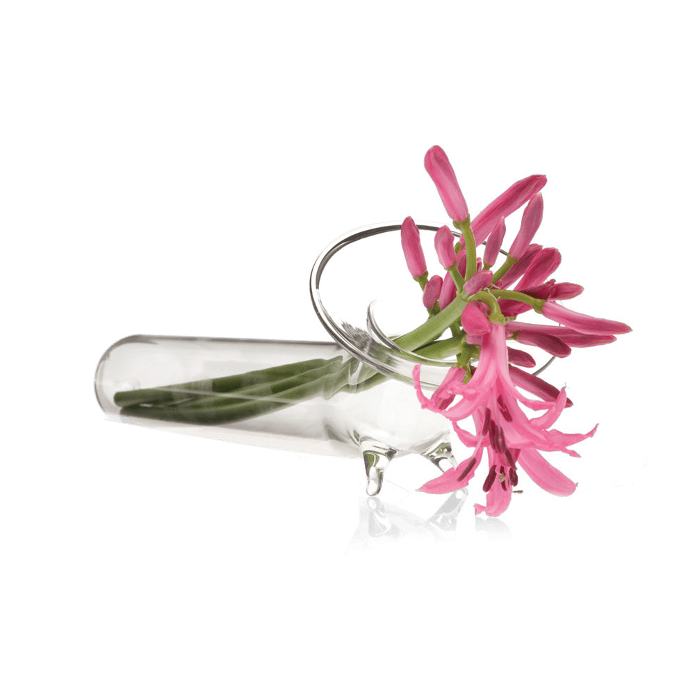 Test Tube Glass Modern Clear Flower Vase - Chive US Wholesale