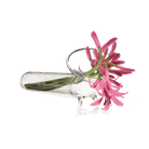 Test Tube Glass Modern Clear Flower Vase - Chive US Wholesale