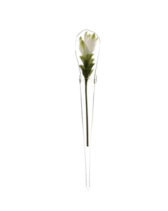 Window Cone Glass Modern Clear Flower Vase - Chive US Wholesale