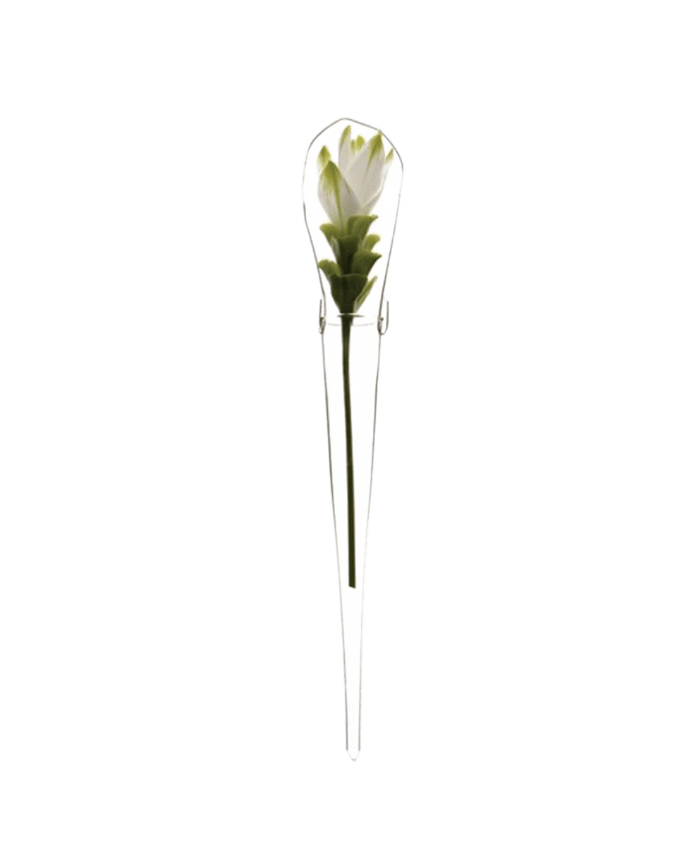 Window Cone Glass Modern Clear Flower Vase - Chive US Wholesale