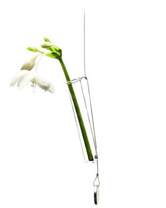 Bolbo Hanging Glass Modern Clear Flower Vase - Chive US Wholesale
