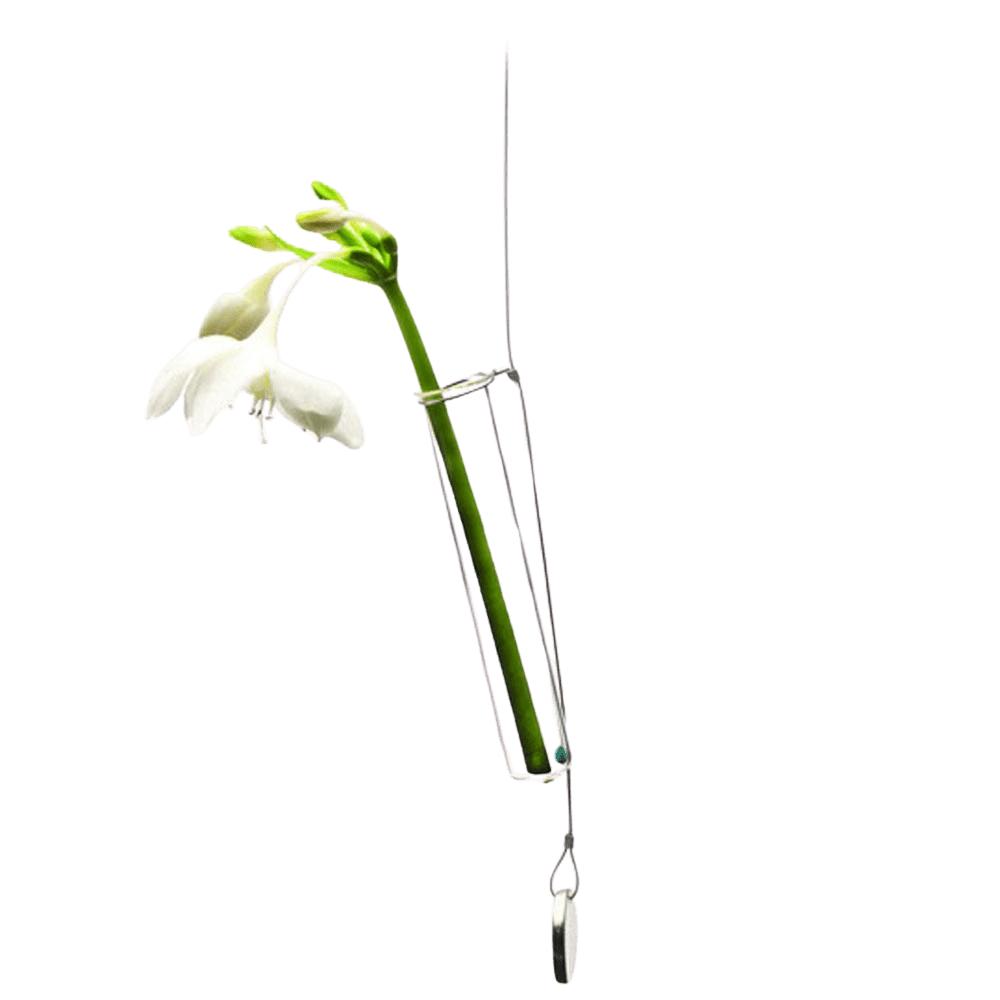 Bolbo Hanging Glass Modern Clear Flower Vase - Chive US Wholesale