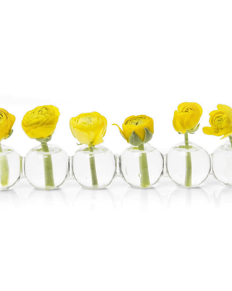 Caterpillar Glass Modern Clear Flower Vase - Chive US Wholesale