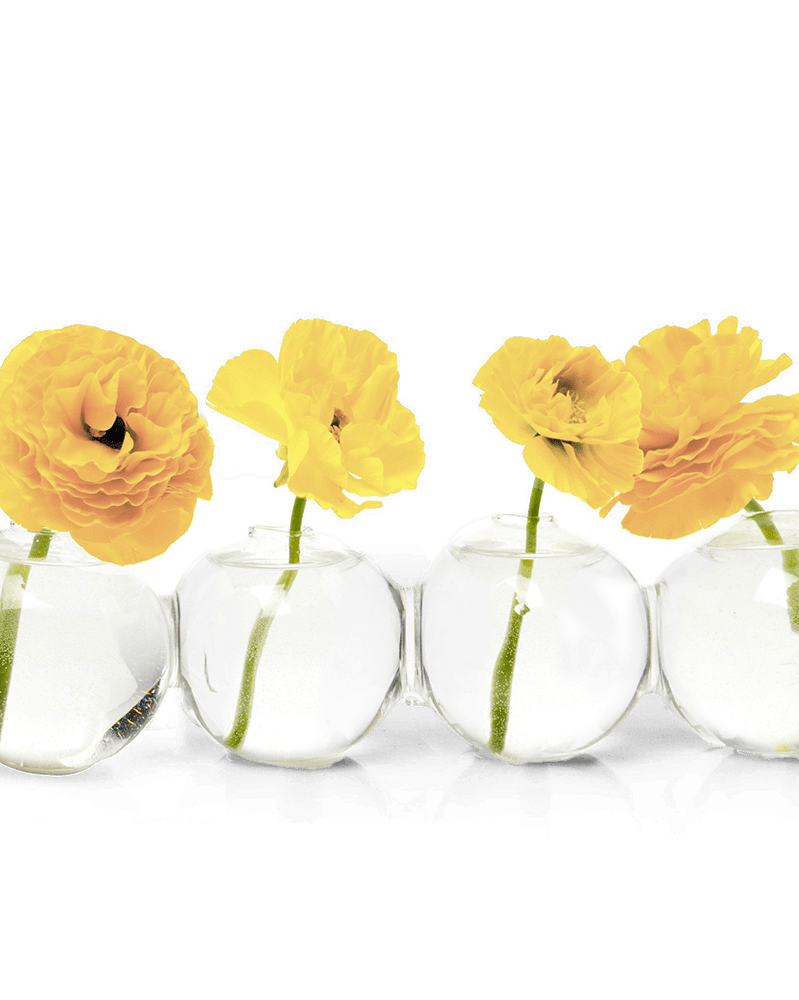 Caterpillar Glass Modern Clear Flower Vase - Chive US Wholesale