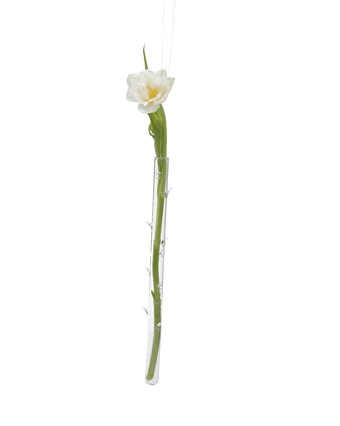 Hanging Thorn Glass Modern Clear Flower Vase - Chive US Wholesale