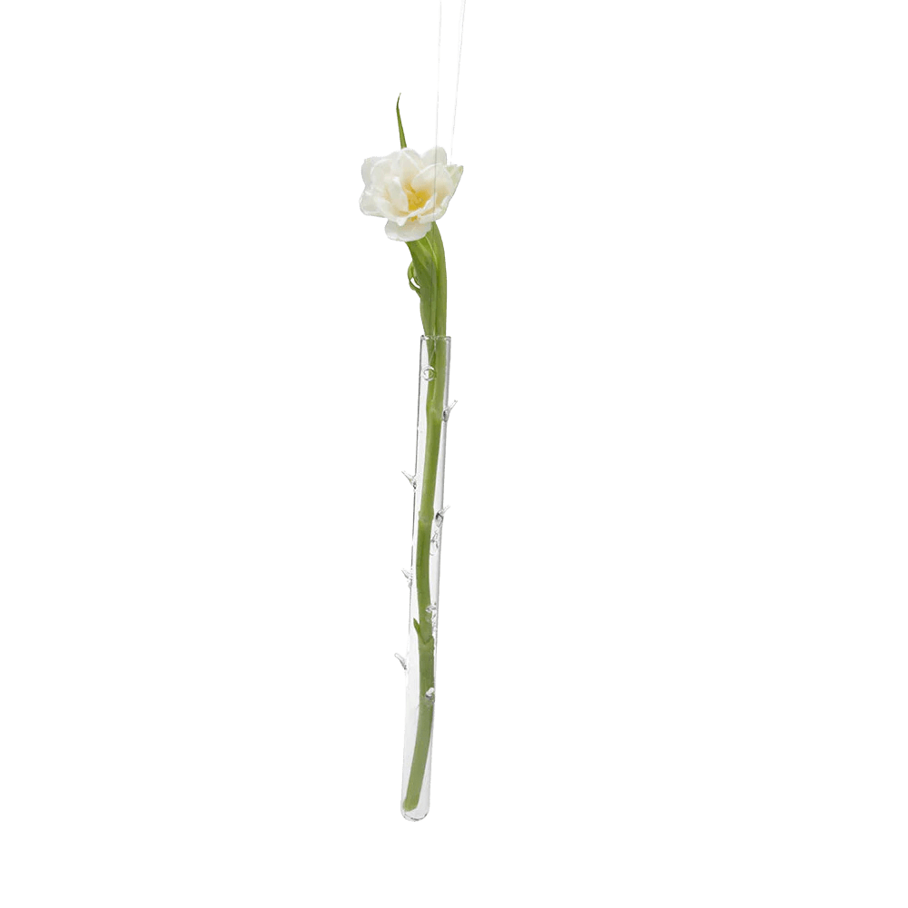 Hanging Thorn Glass Modern Clear Flower Vase - Chive US Wholesale