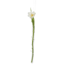 Hanging Thorn Glass Modern Clear Flower Vase - Chive US Wholesale