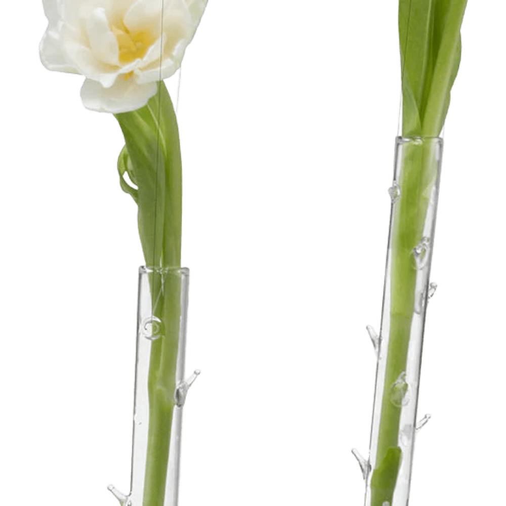 Hanging Thorn Glass Modern Clear Flower Vase - Chive US Wholesale
