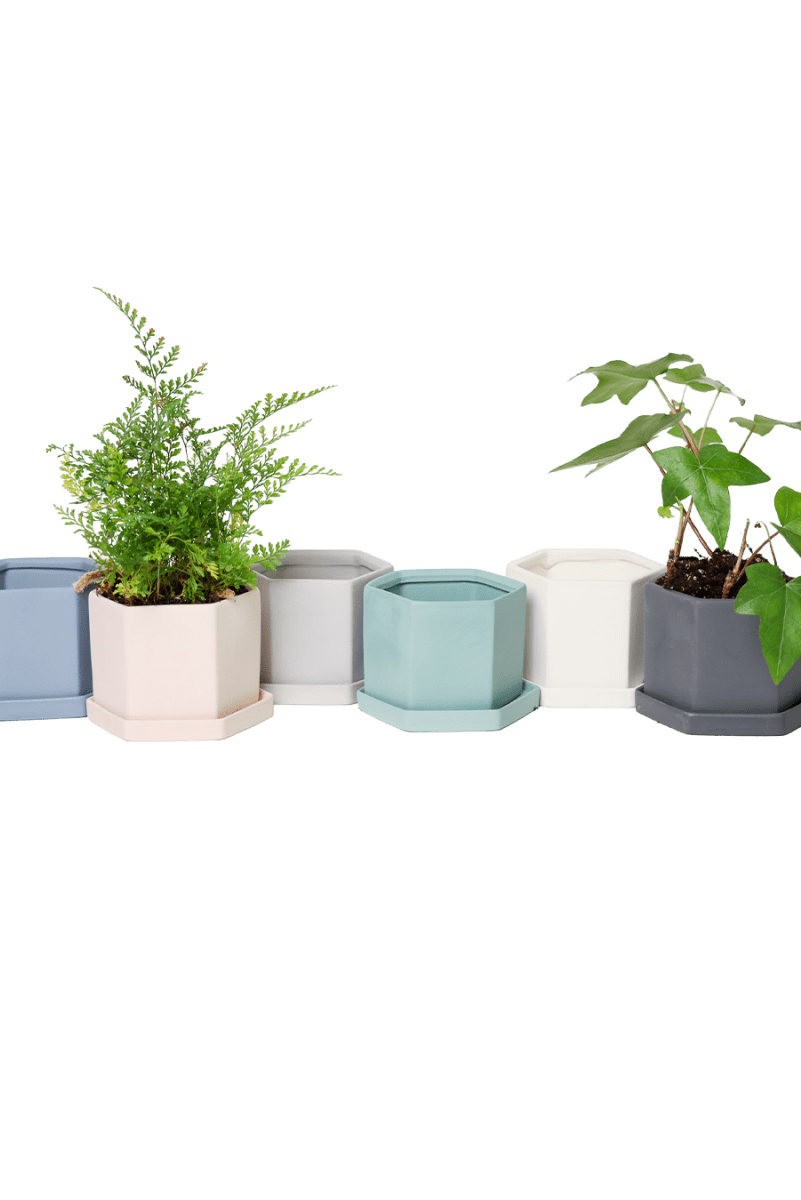 Hexi Porcelain Pot With Drainage Hole - Chive US Wholesale