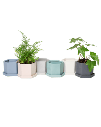 Hexi Porcelain Pot With Drainage Hole - Chive US Wholesale