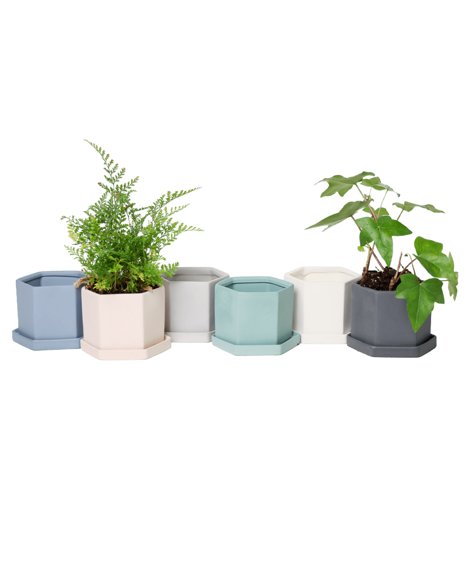 Hexi Porcelain Pot With Drainage Hole - Chive US Wholesale