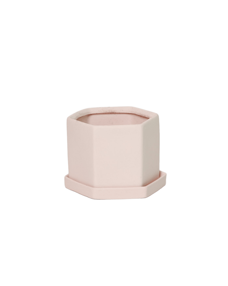 Hexi Porcelain Pot With Drainage Hole - Chive US Wholesale