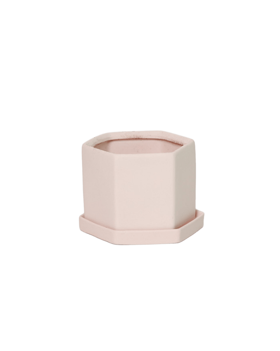 Hexi Porcelain Pot With Drainage Hole - Chive US Wholesale