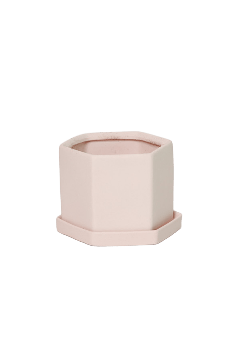 Hexi Porcelain Pot With Drainage Hole - Chive US Wholesale