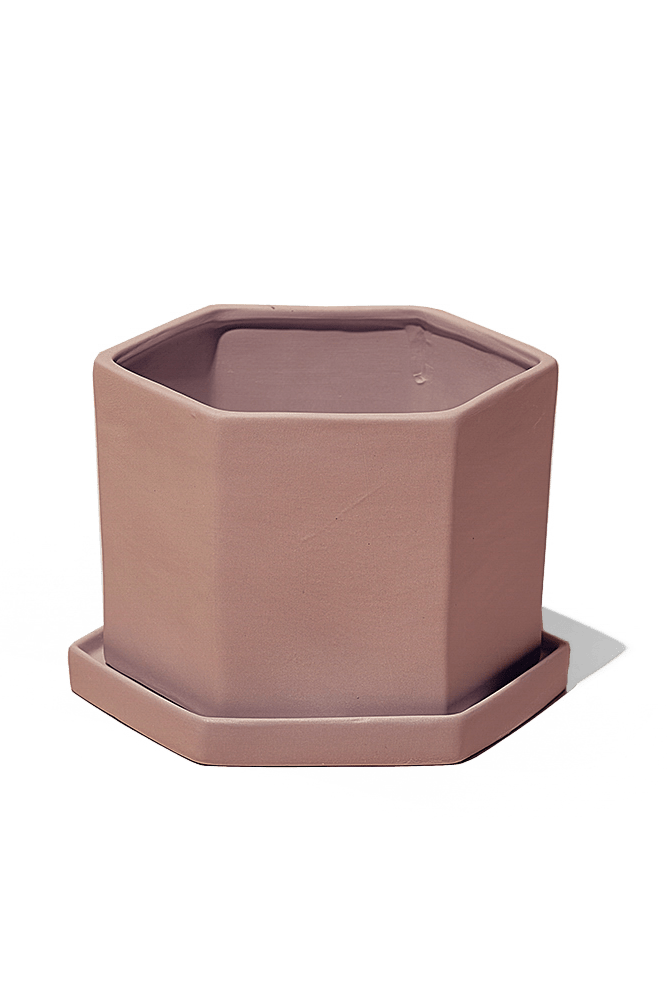 Hexi Porcelain Pot With Drainage Hole - Chive US Wholesale