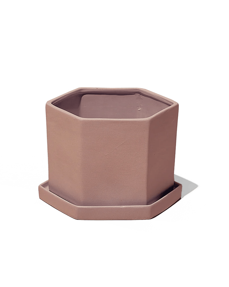 Hexi Pot And Saucer 48pc Kit - Small - Chive US Wholesale