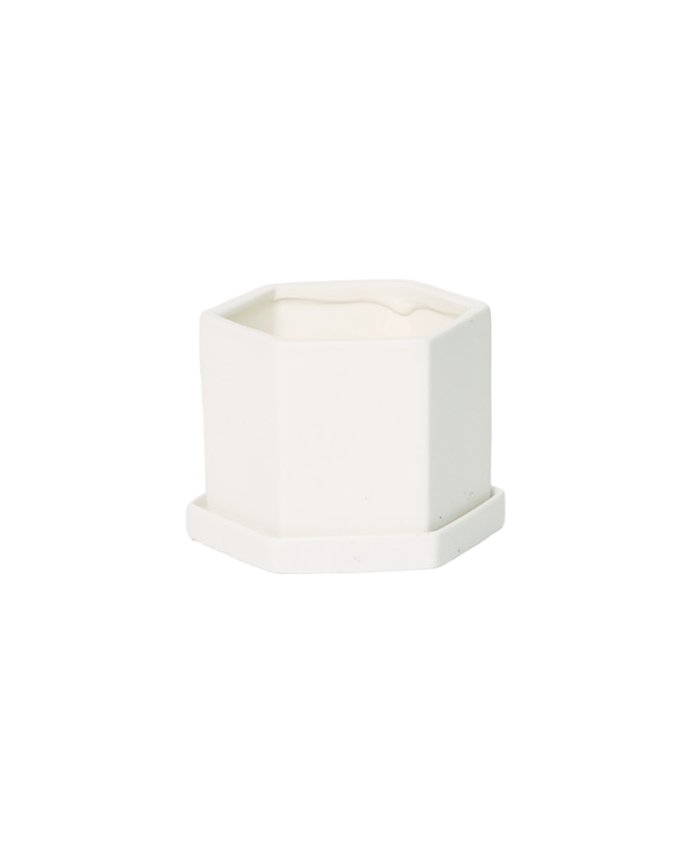 Hexi Porcelain Pot With Drainage Hole - Chive US Wholesale