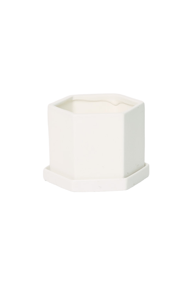 Hexi Porcelain Pot With Drainage Hole - Chive US Wholesale