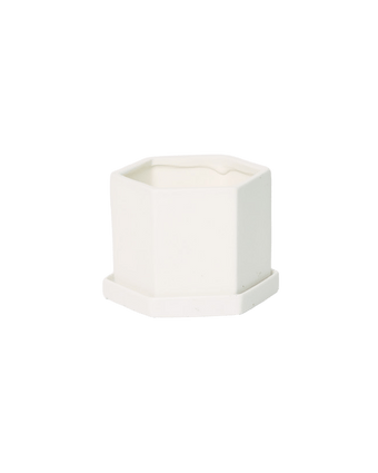 Hexi Porcelain Pot With Drainage Hole - Chive US Wholesale