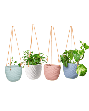 Virago Ceramic Modern Hanging Planter - Chive US Wholesale