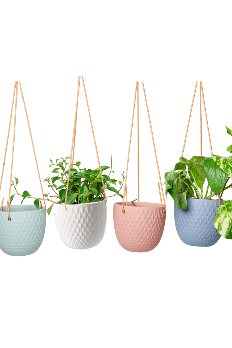 Virago Ceramic Modern Hanging Planter - Chive US Wholesale