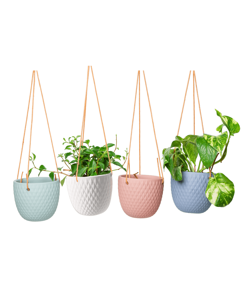Virago Ceramic Modern Hanging Planter - Chive US Wholesale