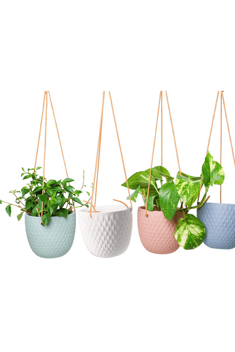 Virago Ceramic Modern Hanging Planter - Chive US Wholesale