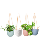 Virago Ceramic Modern Hanging Planter - Chive US Wholesale