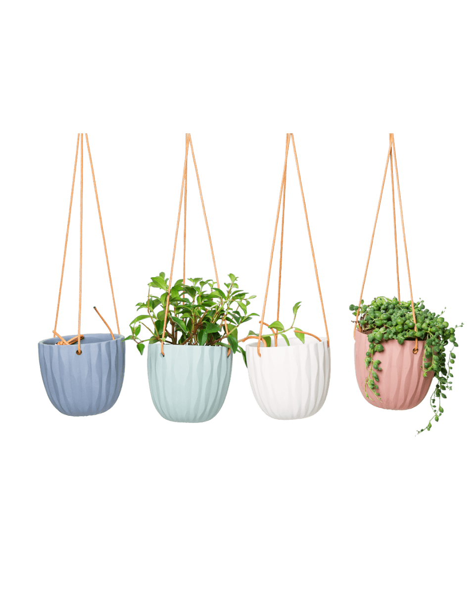 Virago Ceramic Modern Hanging Planter - Chive US Wholesale
