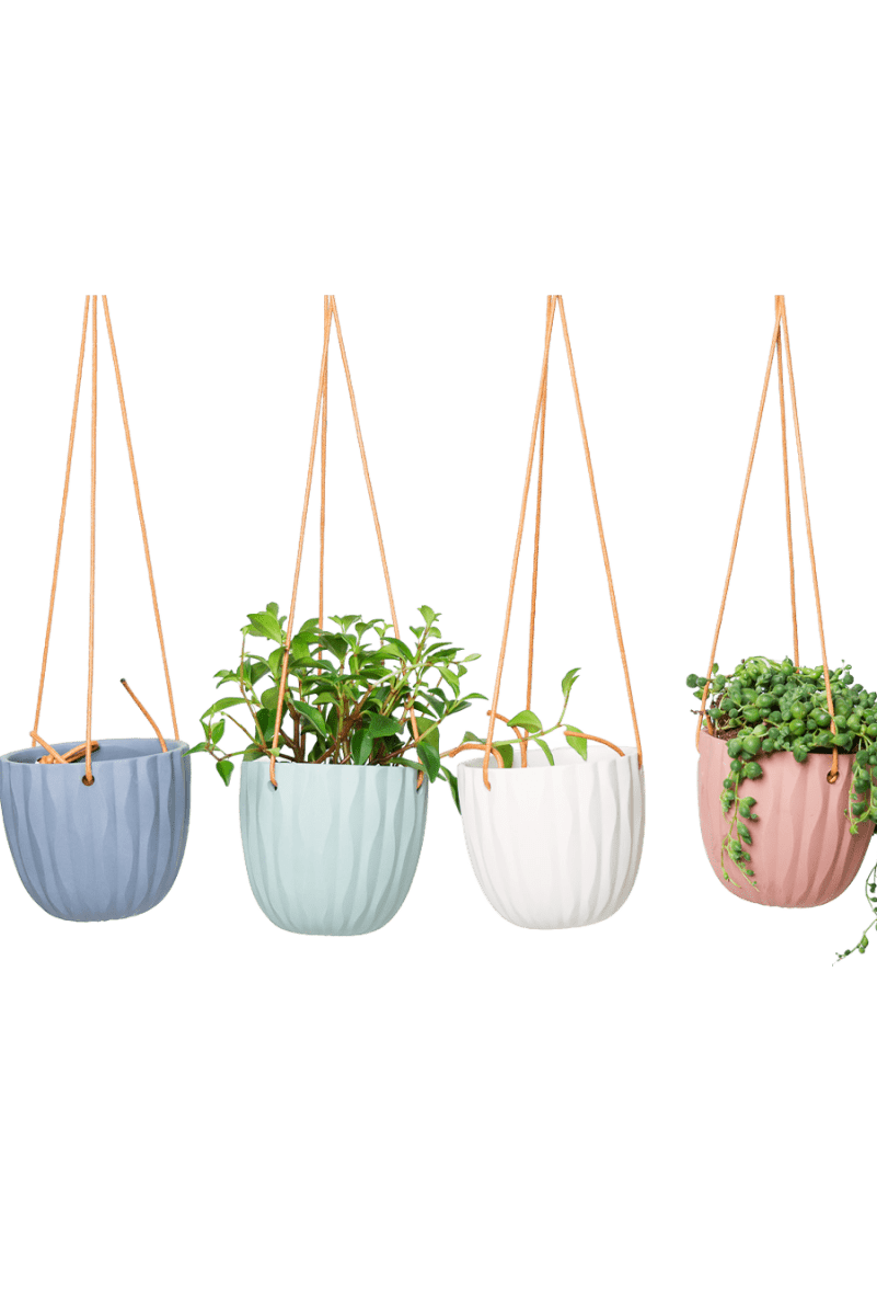 Virago Ceramic Modern Hanging Planter - Chive US Wholesale
