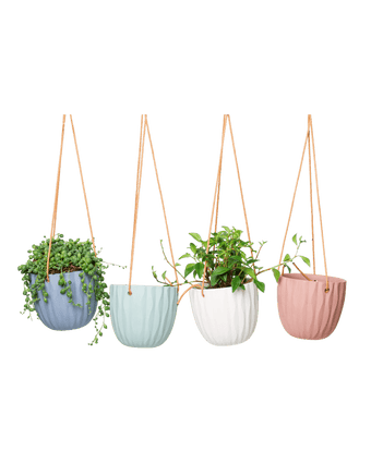 Virago Ceramic Modern Hanging Planter - Chive US Wholesale