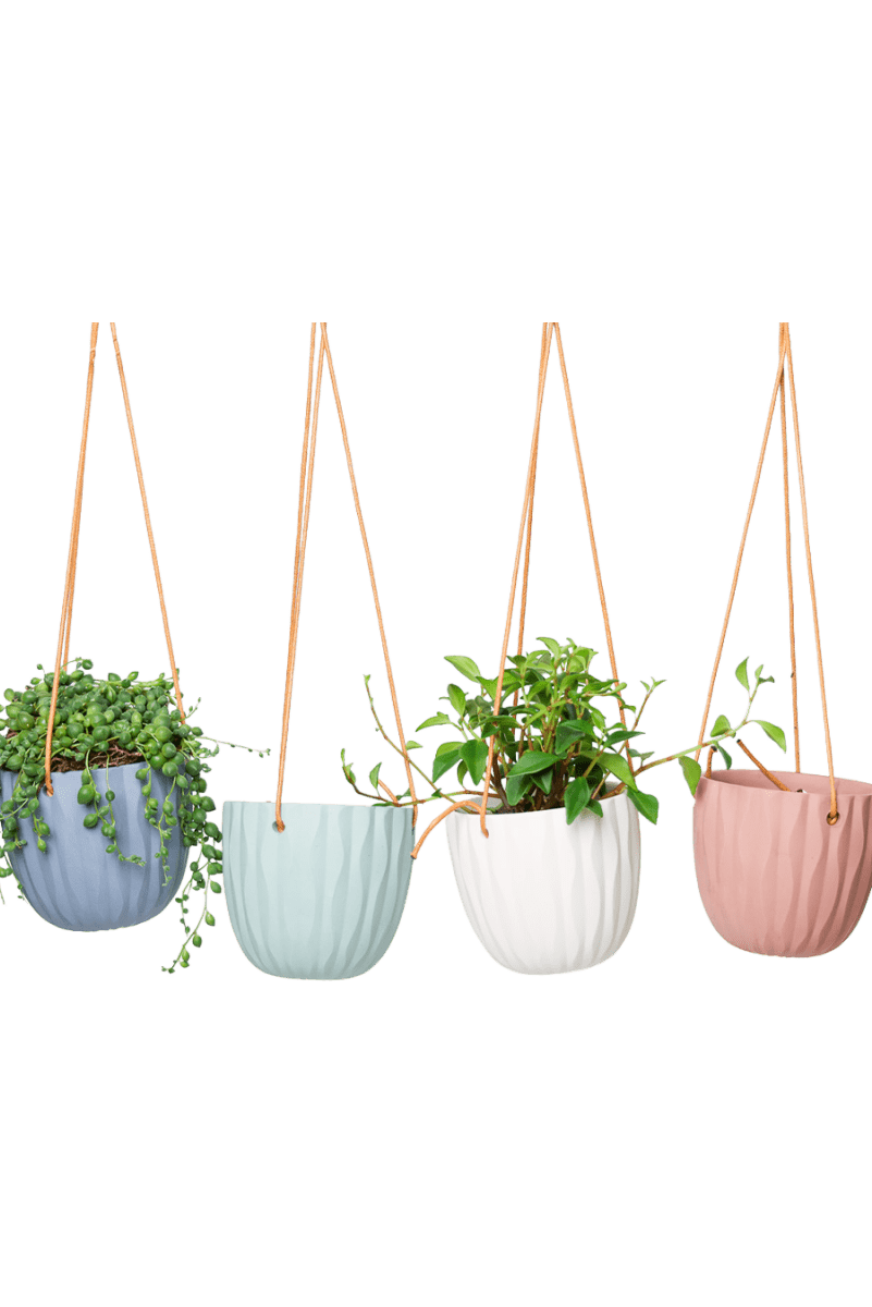Virago Ceramic Modern Hanging Planter - Chive US Wholesale