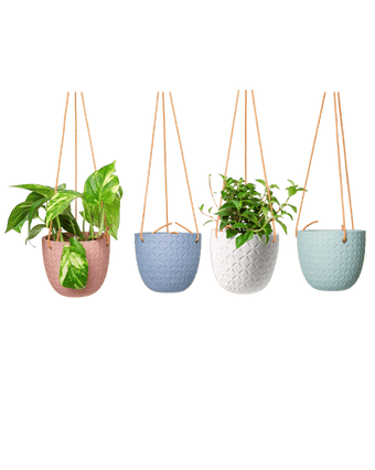Virago Ceramic Modern Hanging Planter - Chive US Wholesale