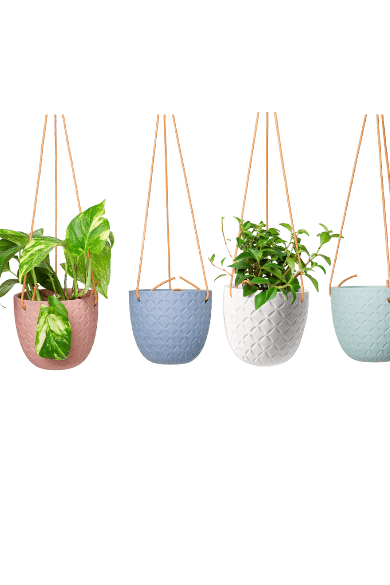 Virago Ceramic Modern Hanging Planter - Chive US Wholesale