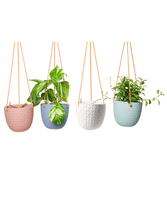 Virago Ceramic Modern Hanging Planter - Chive US Wholesale