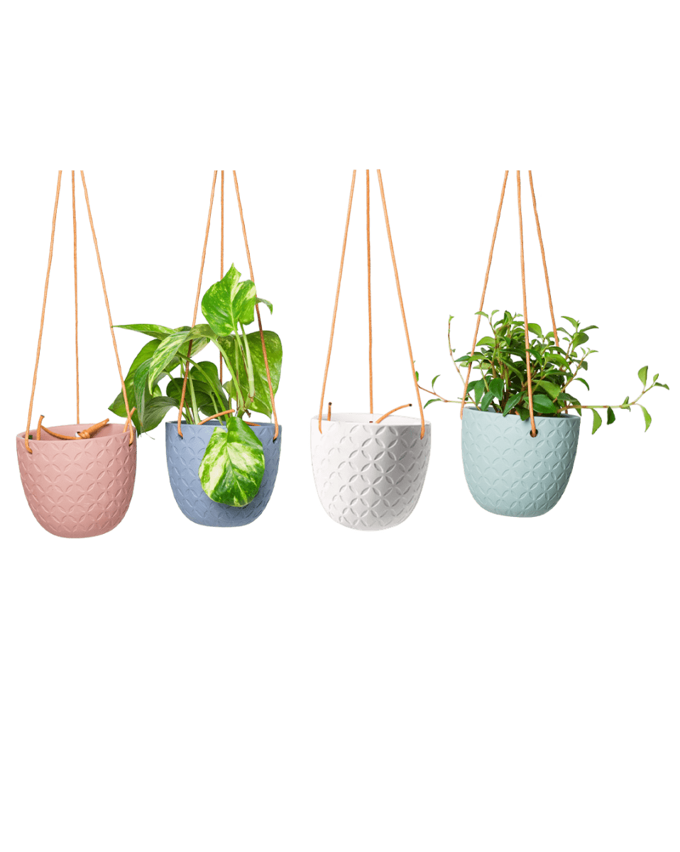 Virago Ceramic Modern Hanging Planter - Chive US Wholesale