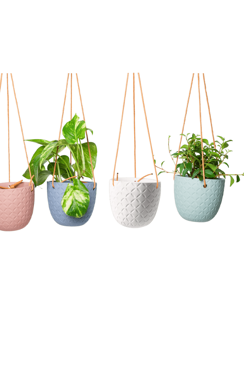 Virago Ceramic Modern Hanging Planter - Chive US Wholesale
