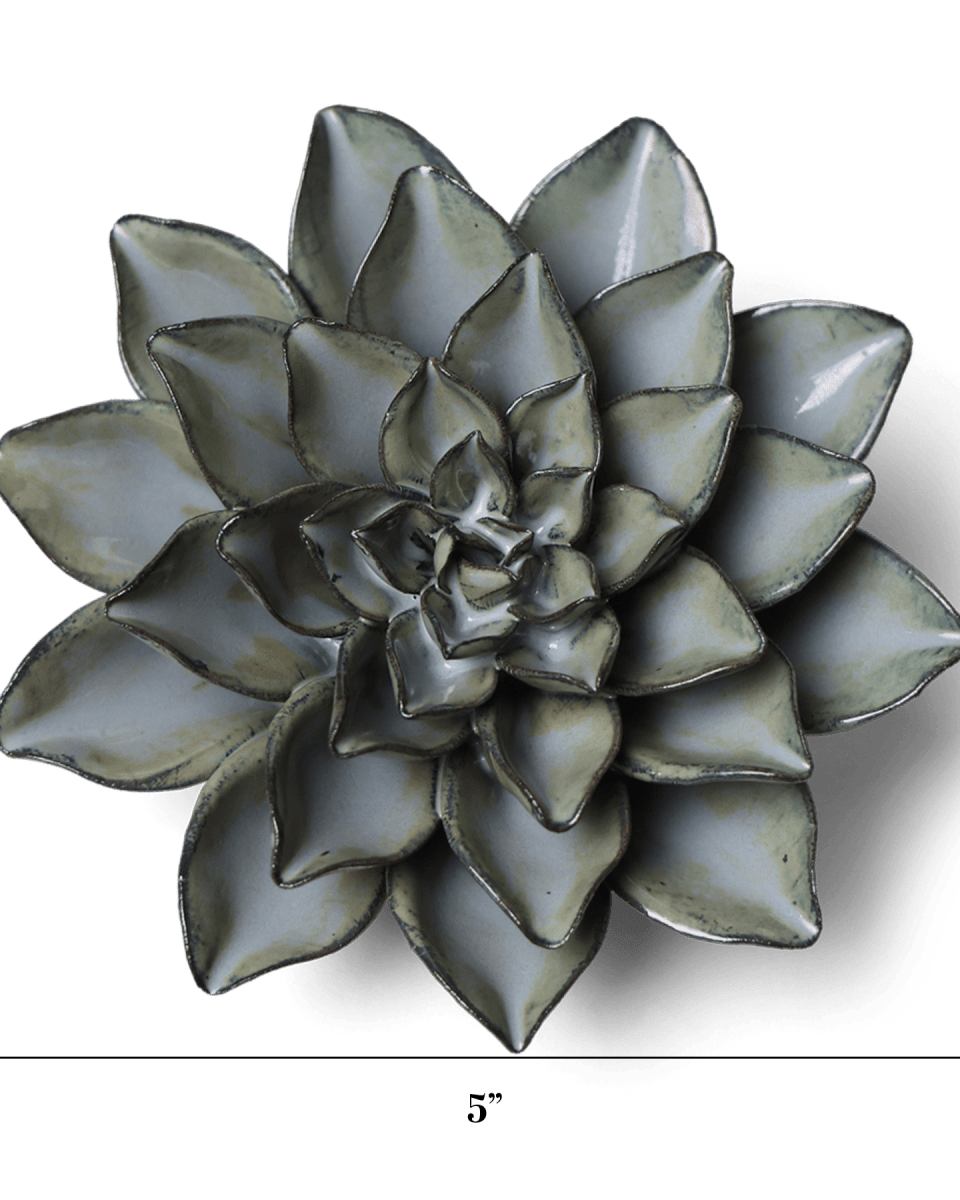 JA01 Grey Goyet Azalea - Chive US Wholesale