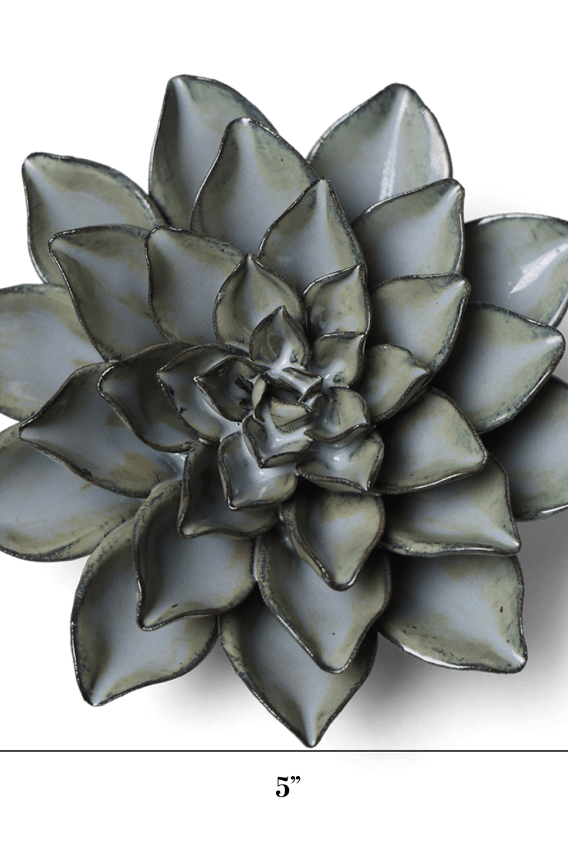 JA01 Grey Goyet Azalea - Chive US Wholesale