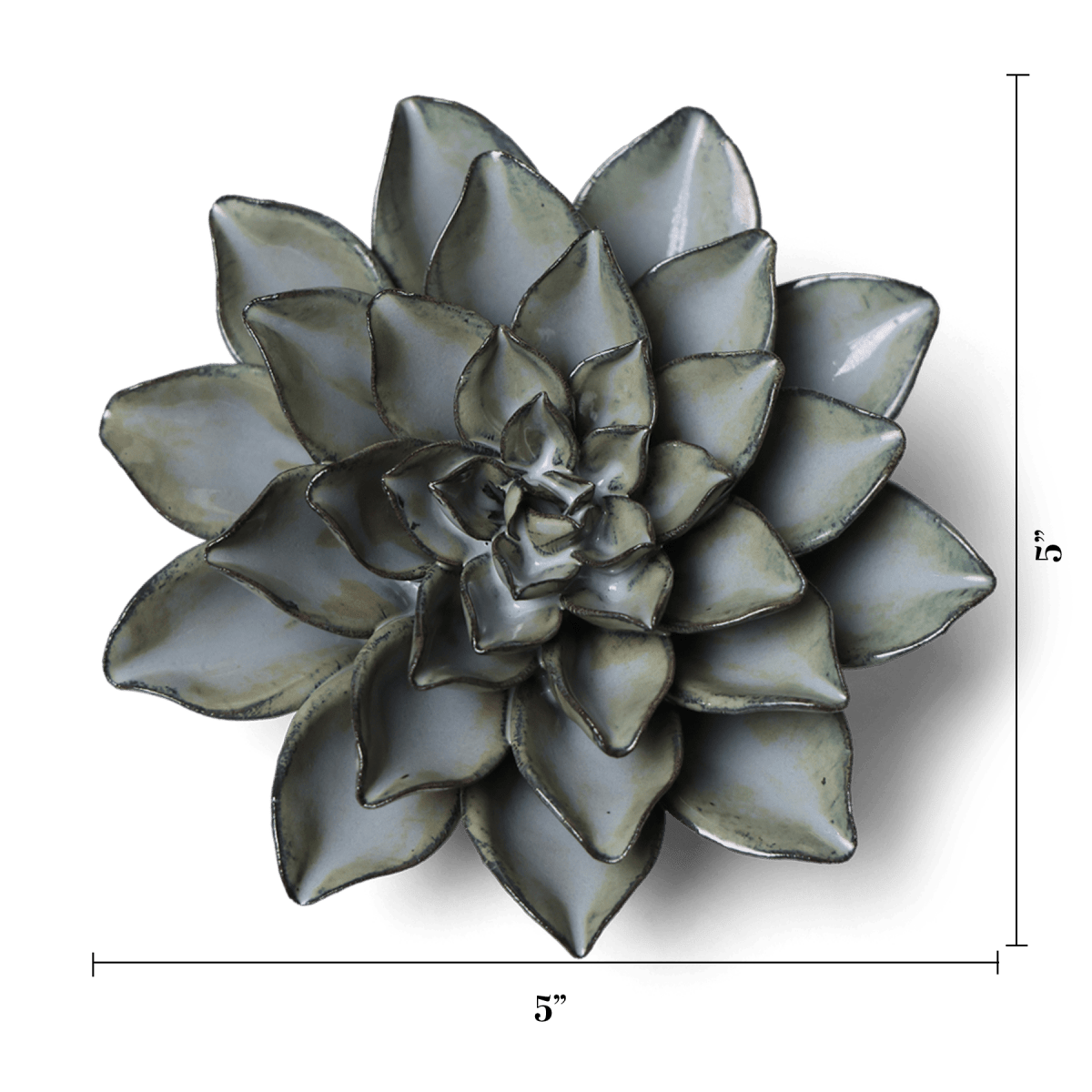 JA01 Grey Goyet Azalea - Chive US Wholesale
