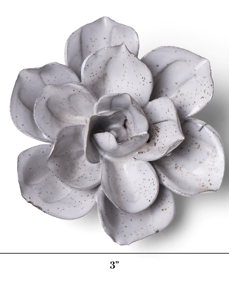 JA10 Cement Aqualla Gardenia - Chive US Wholesale