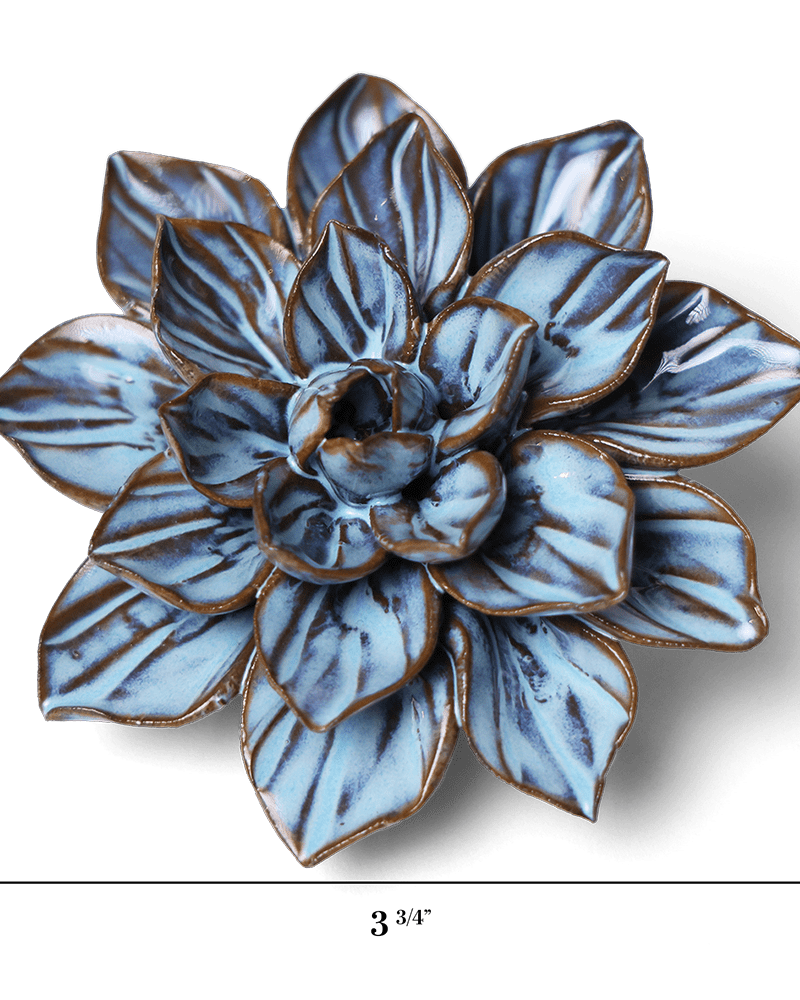 JA23 Seasonal Blue Frikartii Aster - Chive US Wholesale
