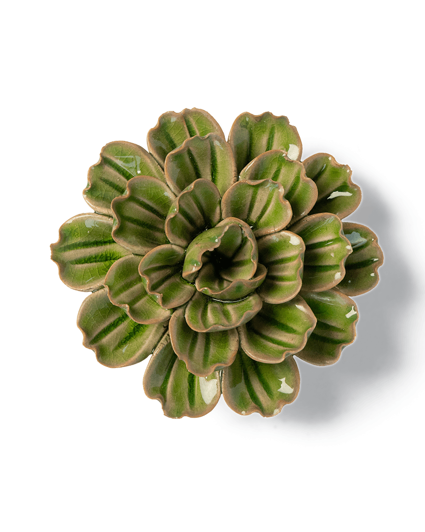 JA24 Avocado Green Petunia - Chive US Wholesale